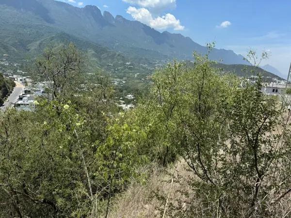 Terreno residencial en venta en Colonial San Agustín en San Pedro Garza García