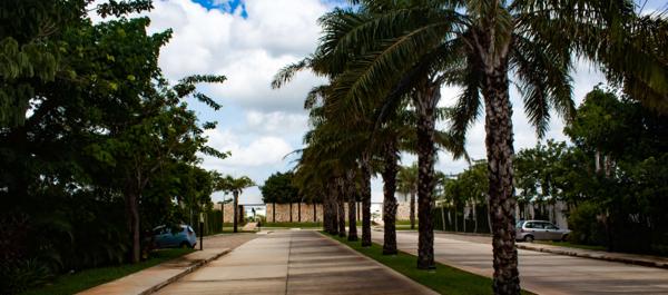 Terrenos residenciales en venta  en Cholul Mérida.