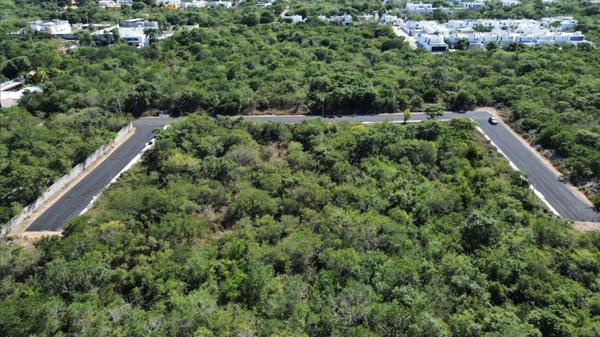 Terreno Residencial en Venta- Dzitya Terreno Residencial en Venta- Dzitya