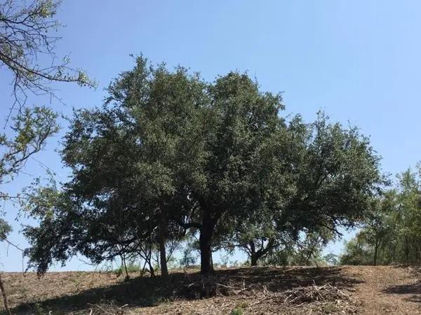 Terreno en Venta en El Barrial en Santiago