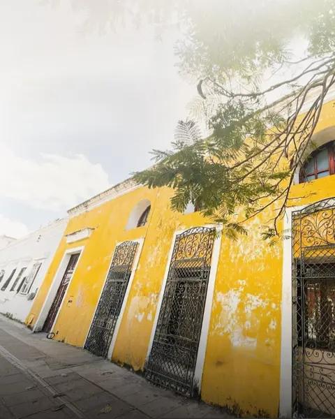 Casa colonial en venta en la zona centro de merida yucatan Casa colonial en venta en la zona centro de merida yucatan