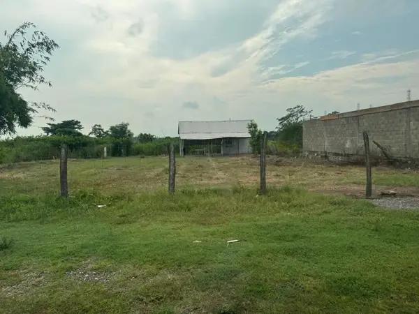 VENDO TERRENOS JUNTOS EN RUMBO A TAMSA