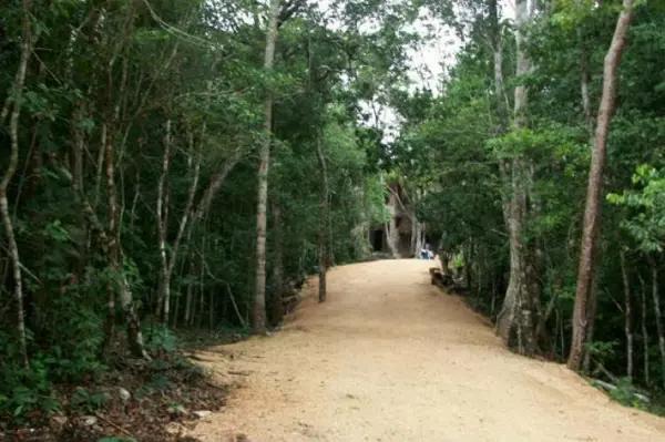 Terreno en venta en Tulúm