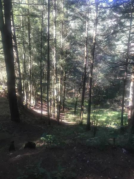 TERRENO EN VENTA EN SANTA MARIA MAZATLA JILOTZINGO
