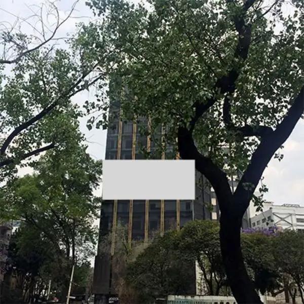 RENTA DE OFICINAS EN INSURGENTES SUR 271.38m2, $81,414.00
