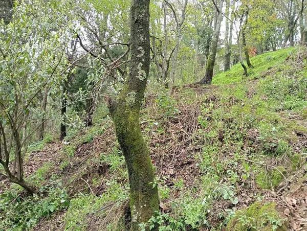 Terreno en venta y renta Ahuatenco, Cuajimalpa de Morelos, CDMX Terreno en venta y renta Ahuatenco, Cuajimalpa de Morelos, CDMX