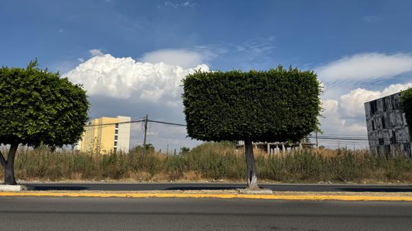Se Vende gran terreno en Avenida principal de Salamanca sobre Av, José Maria Morelos.