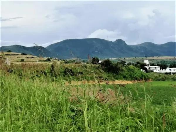 Terreno en venta en Atlixco Centro, Atlixco, Puebla Terreno en venta en Atlixco Centro, Atlixco, Puebla