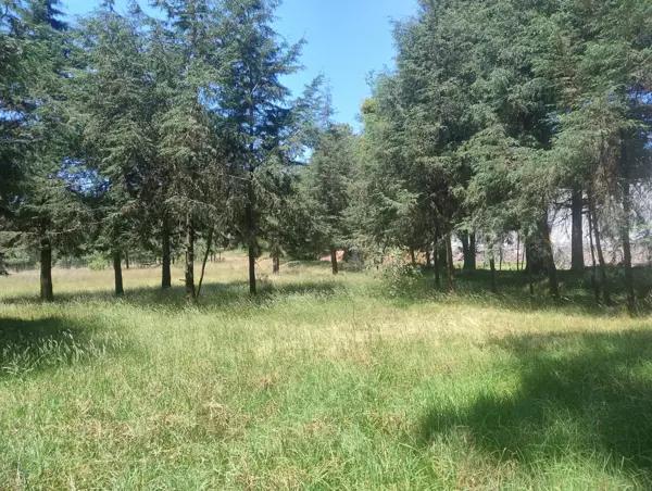 Venta de terreno