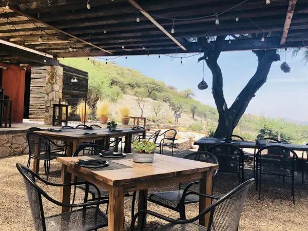 Terreno en venta con viñedo en Querétaro Terreno en venta con viñedo en Querétaro