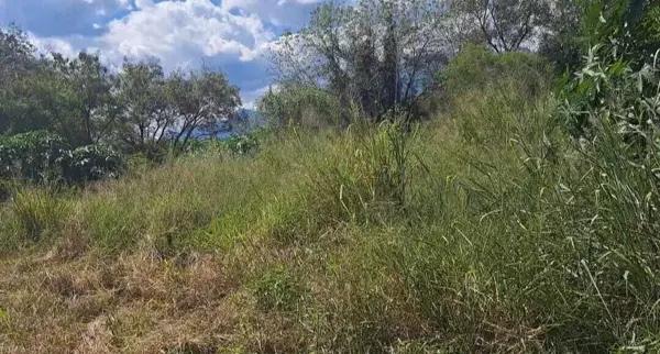Terreno en renta en Carretera Nacional en Allende