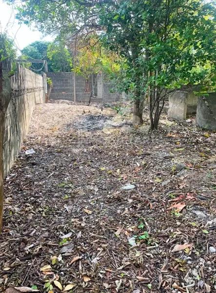 Terreno en venta en Sector El Aguacate, Medellín y Pigua, Centro, Tabasco