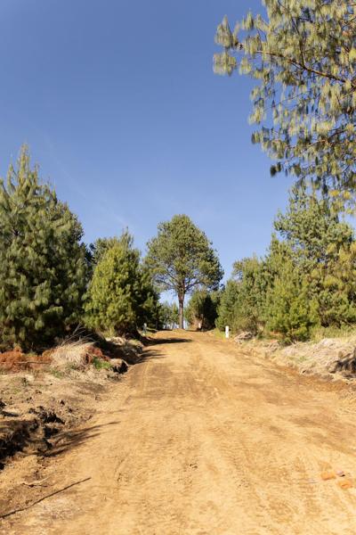 Venta de LOTES  ecológicos sustentables en Fraccionamiento con Bosque
