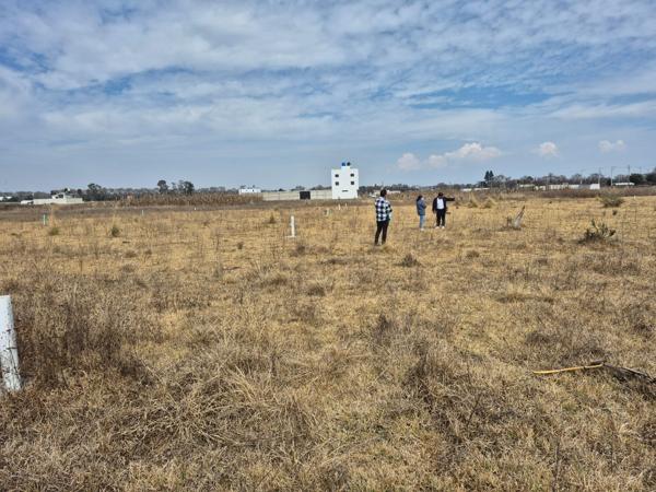 Lote mide 280m