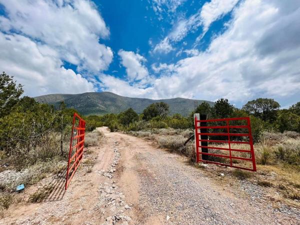 Terreno en venta en el Diamante - Arteaga, Coahuila Terreno en venta en el Diamante - Arteaga, Coahuila