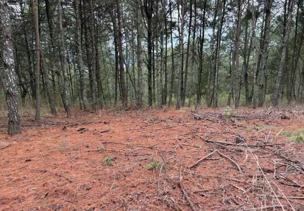 TERRENO EN VENTA EN ZIRAHUEN, MICHOACAN TERRENO EN VENTA EN ZIRAHUEN, MICHOACAN