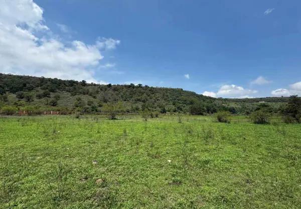 TERRENO EN VENTA EN ZITACUARO, MICHOACAN TERRENO EN VENTA EN ZITACUARO, MICHOACAN