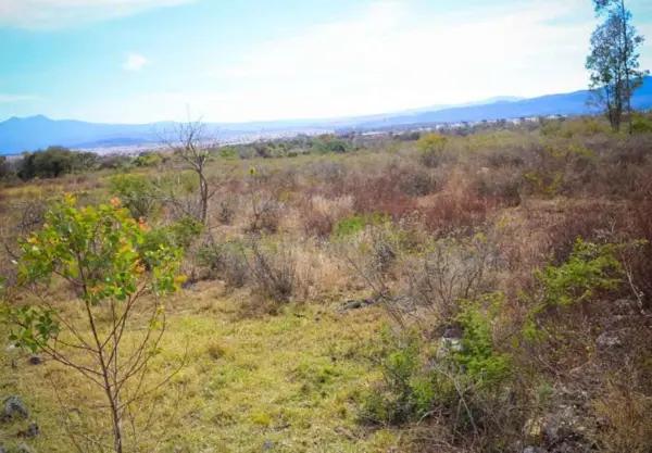 TERRENO EN VENTA Y EN RENTA EN SALIDA A QUIROGA, MORELIA TERRENO EN VENTA Y EN RENTA EN SALIDA A QUIROGA, MORELIA