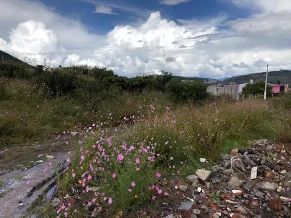 TERRENO EN VENTA IDEAL PARA BODEGA EN SALIDA A MIL CUMBRES, MORELIA