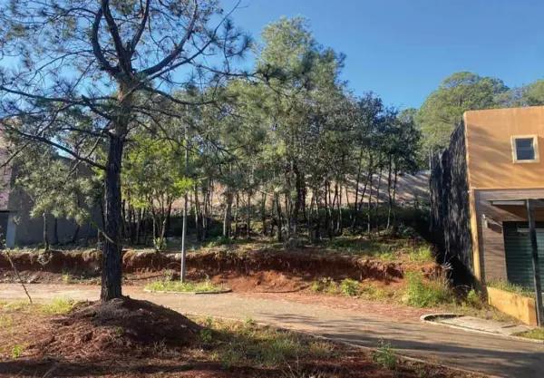 TERRENO EN VENTA EN EL OLIVAR ALTOZANO, MORELIA TERRENO EN VENTA EN EL OLIVAR ALTOZANO, MORELIA