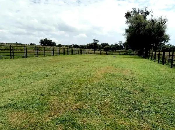 Venta de Terreno Habitacional en Santa Cruz Aquiahuac Tlaxcala propiedad 1000 metros