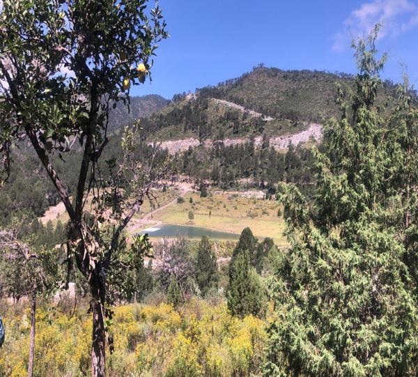 TERRENO CAMPESTRE EN VENTA EN ARTEAGA