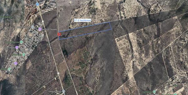 TERRENO INDUSTRIAL EN VENTA EN SALINAS VICTORIA