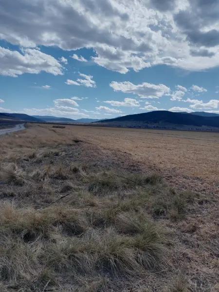 TERRENO EN VENTA LOS LIRIOS ARTEAGA TERRENO EN VENTA LOS LIRIOS ARTEAGA