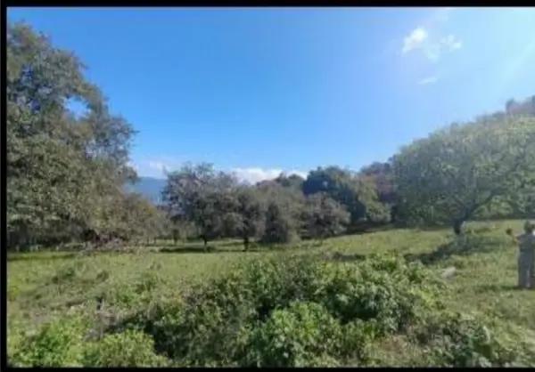 TERRENO CAMPESTRE EN VENTA CONGREGACION SAN FRANCISCO TERRENO CAMPESTRE EN VENTA CONGREGACION SAN FRANCISCO