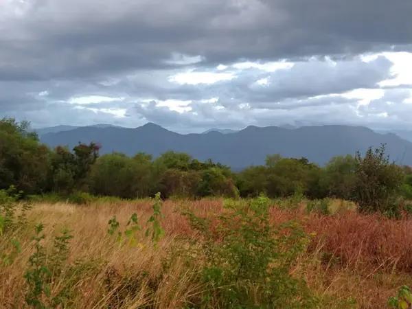 TERRENO EN VENTA MONTEMORELOS CARRETERA NACIONAL