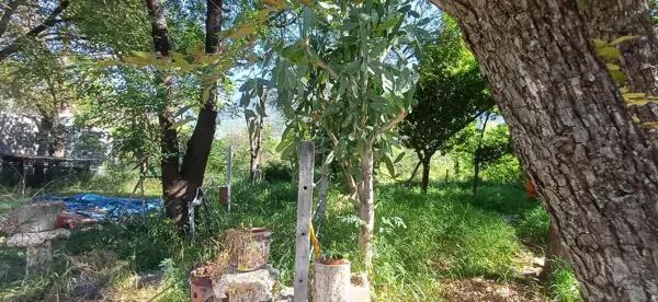 TERRENO  EN VENTA  EL URO CARR. NAC.