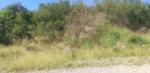 VENTA DE TERRRENO CAMPESTRE EN JUAREZ