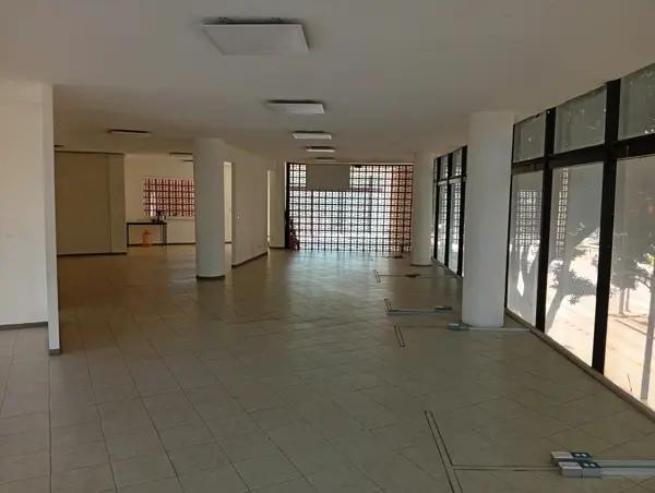 Wellness Hub Roma Sur: El Epicentro Estratégico para tu Próximo Nivel de Negocio