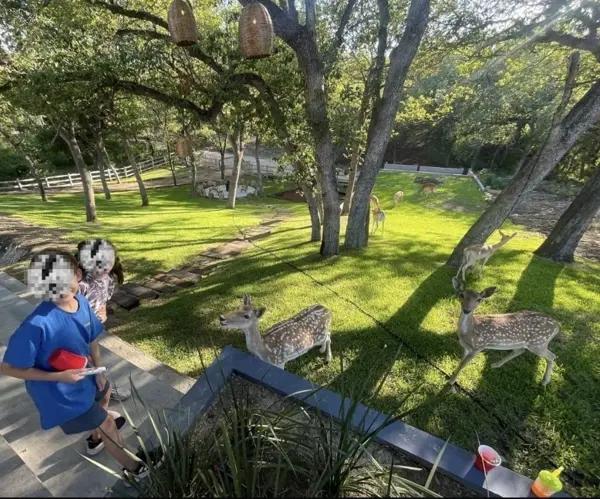 QUINTA/CASA EN VENTA ENCINOS MONTEMORELOS