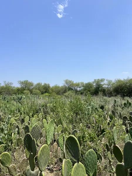 RANCHO EN VENTA , LOS SABINOS ALLENDE N.L