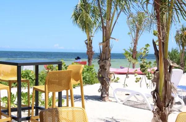 TERRENOS RESIDENCIALES ECOTURÍSTICO A EN SAN CRISANTO, YUC