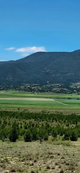 TERRENO CAMPESTRE EN VENTA CARRETERA A LOS LIRIOS