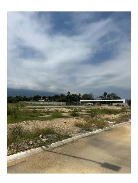 TERRENO EN VENTA VIÑEDOS SICILIA