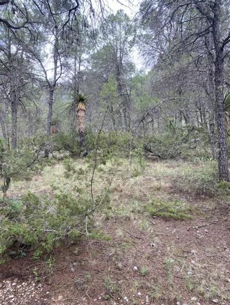 TERRENO EN VENTA HUACHICHIL