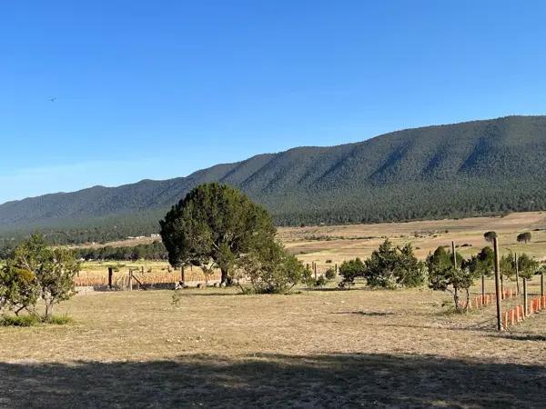 TERRENO EN VENTA HUACHICHIL COAHUILA