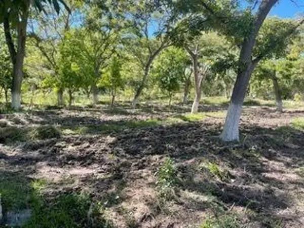 TERRENO EN VENTA EN PARRAS DE LA FUENTE, COAHUILA
