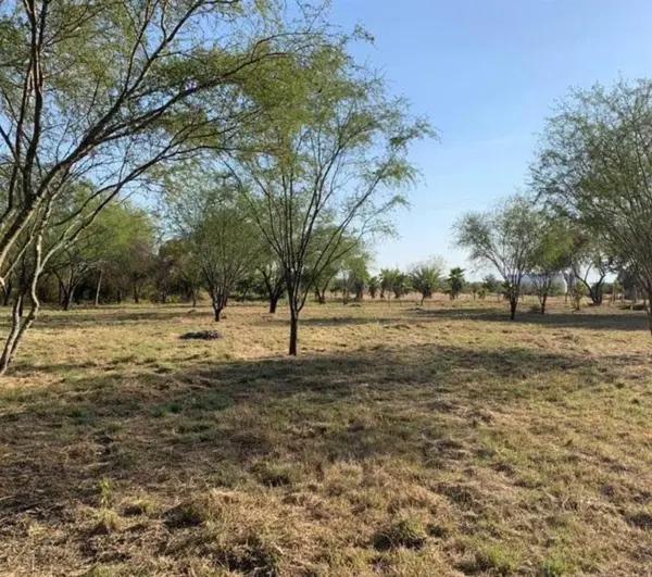 TERRENO CAMPESTRE EN VENTA EN ALLENDE TERRENO CAMPESTRE EN VENTA EN ALLENDE