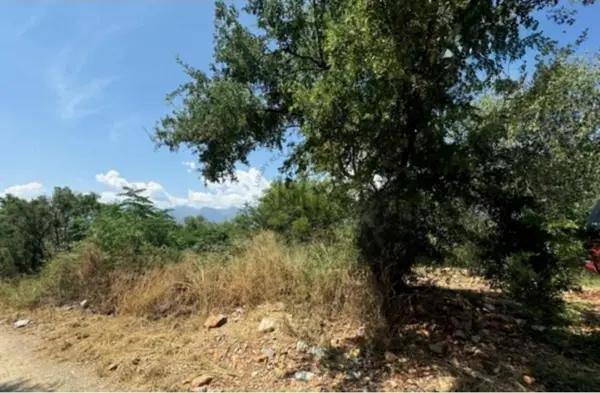 TERRENO EN VENTA EN LOS RODRIGUEZ, SANTIAGO, N.L. TERRENO EN VENTA EN LOS RODRIGUEZ, SANTIAGO, N.L.