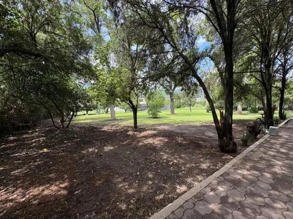 TERRENO EN VENTA EN LAS JARAS, CARRETERA NACIONAL TERRENO EN VENTA EN LAS JARAS, CARRETERA NACIONAL