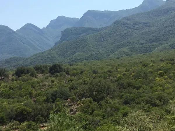 TERRENO EN VENTA EL BARRIAL TERRENO EN VENTA EL BARRIAL