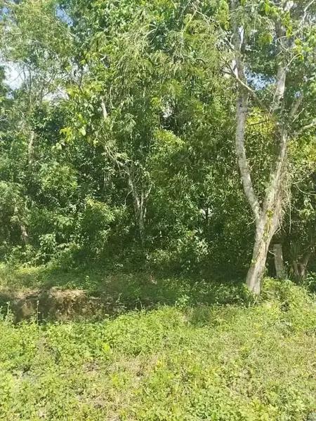 Terreno 20x50 con plusvalía en crecimiento – Zona Muyil / Aeropuerto Tulum