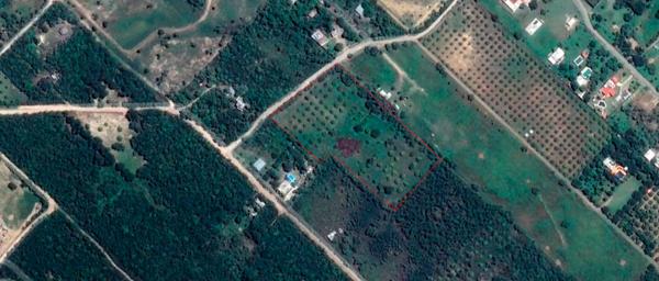 TERRENO EN VENTA LOS SABINOS ALLENDE