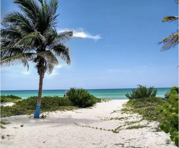 TERRENOS EN VENTA FRENTE AL MAR EN EL CUYO YUCATÁN TERRENOS EN VENTA FRENTE AL MAR EN EL CUYO YUCATÁN