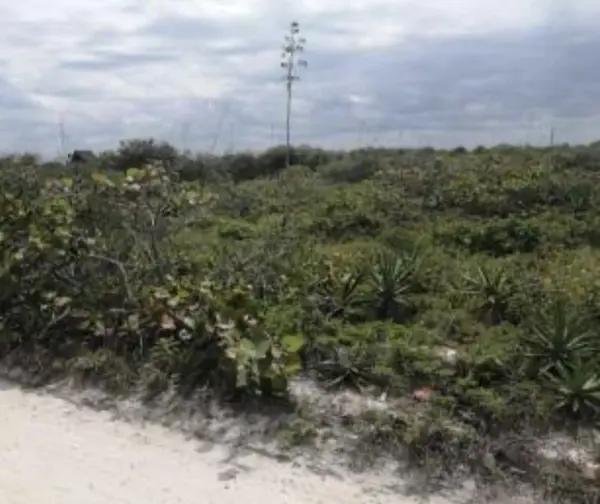 TERRENO EN VENTA EN LA PLAYA  EN SEGUNDA FILA SAN BENITO MERIDA YUCATÁN