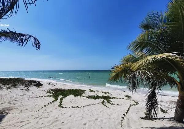 TERRENO EN VENTA EN LA PLAYA A 200 MTS DEL MAR EN SAN BENITO PROGRESO MERIDA YUC
